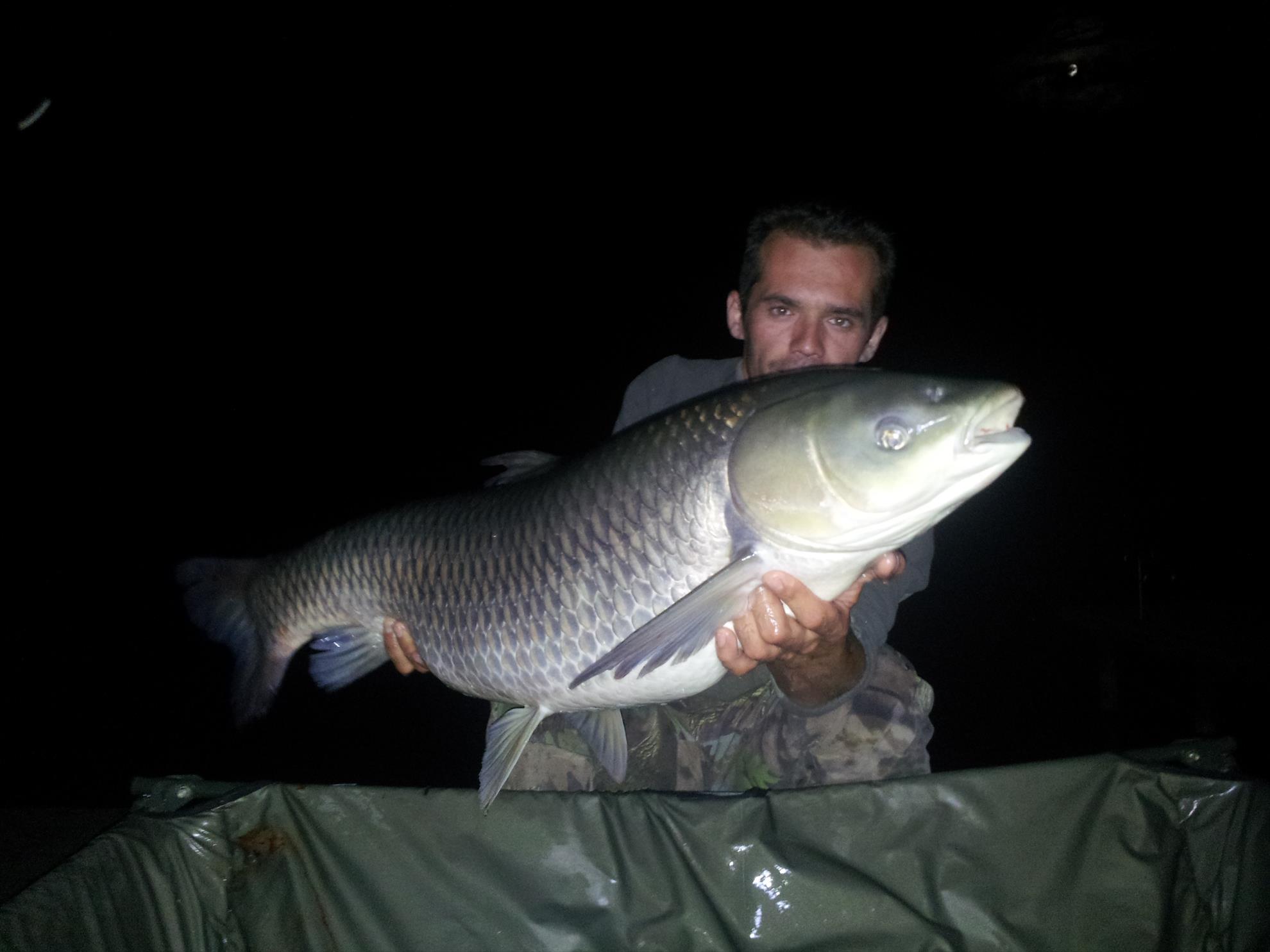 Tancabesti 31 aug- 7 sep  - 20140906004741.jpg